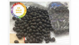 FOURNISSEUR PREMIUM BLACK LOTUS SEEDS VIETNAM GRAINES NATURELLES DE HAUTE QUALITÉ POUR L'EXPORTATION ET LES APPLICATIONS ALIMENTAIRES - Product Image 4