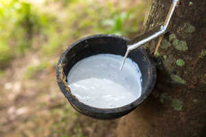 Producto de Caucho de Látex Natural de la Mejor Calidad, Material Premium de Grado de Moldeo para sus Necesidades, Directo de la Fábrica en Bélgica - Product Image 2