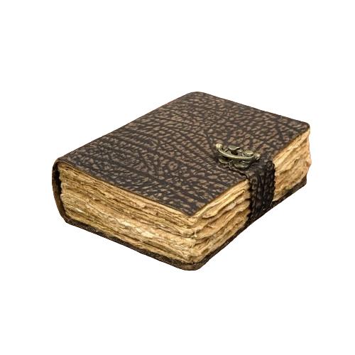 สีน้ำตาล