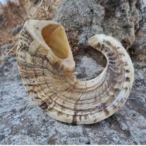 Corne de mouton polie, décoration religieuse pour la maison, Inde, amour, matériau organique, corne à boire par saniya handicraft - Product Image 1