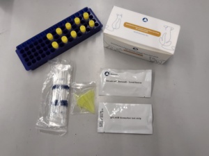 Équipement de diagnostic vétérinaire, kit de <span class=keywords><strong>test</strong></span> FCV, kit de <span class=keywords><strong>test</strong></span> rapide fluorescent du calicivirus félin pour chats - Product Image 1