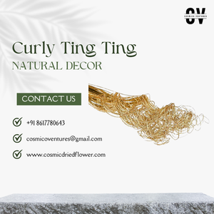 Branches scintillantes de Noël écologiques de haute qualité, style Ting Ting bouclé, pour la décoration de Noël, de mariage, fleurs séchées - Product Image 3