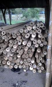 ไม้ไผ่ขายร้อนสำหรับกรอบจัดแสดงและสนับสนุนทนทานแท่งตรงสำหรับการจัดนิทรรศการและการตกแต่งประเทศเวียดนาม - Product Image 3