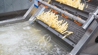 Ligne de Production automatique de frites, 5000 Kg/H, pommes de terre surgelées