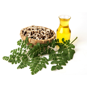 Graines de Moringa de qualité supérieure - Product Image 2
