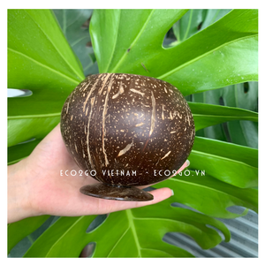 Coconut Material Organic Natural Coconut Shell <b>Cups</b>/ Coconut <b>Cups</b> for Cocktail From Eco2go Vietnam - Product Image 4