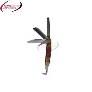 Herramienta profesional para el cuidado equino: Cuchillo multiusos para pezuñas, peine, raspador, herramienta de aseo, instrumentos quirúrgicos de bolsillo para pezuñas, clase I, para caballeros. - Product Image 1