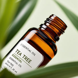 Bouteille de tambour d'extrait de plantes d'arbre à thé cultivé sauvage emballée directement de l'huile essentielle d'Inde - Product Image 2