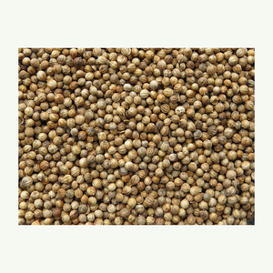 Proveedores de alta calidad semillas de cilantro origen de Alta Calidad para la venta semilla de cilantro negro cilantro a granel - Product Image 4