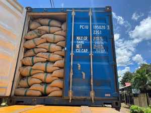 TODA DENSIDAD PIMIENTA NEGRA NATURAL PURA 100% ESPECIAS CALIENTES PREGUNTAS FRECUENTES ASTA BOLD CALIDAD ESTÁNDAR ALTA CALIDAD Glory Ngo (+ 84) 369 912 901 - Product Image 5