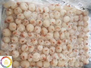 Lichi congelado a granel de Vietnam, fruta congelada IQF de exportador de productos agrícolas - Product Image 6