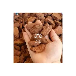 최고의 제품 만든 베트남 남 소나무 껍질 제품 최고의 가격 에서 블루 로터스 농장 뜨거운 제품 100% 원산지 베트남