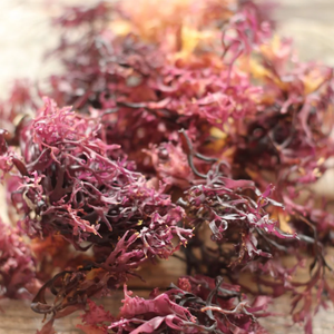 Venta flash de fin de semana: 10% de descuento en musgo irlandés de alta calidad-púrpura musgo marino - Product Image 1