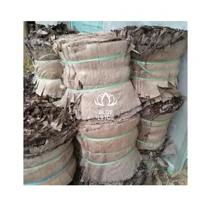 Low Price Big Quantity Factory Dried Banana Leaves Leaf From Vietnam Wholesale Agriculture Product 2024