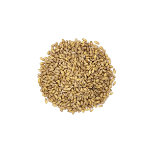 Export grade <b>barley</b> seeds maintained for reliable bulk shipment and trade flow - Product Image 6