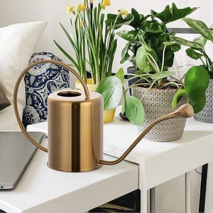 Arrosoirs modernes de qualité supérieure Arrosez votre monde Beaux accessoires de jardin de l'art d'arroser les bidons de fleurs - Product Image 2