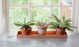 Aaliyan impex ถาดทองแดงเคลือบแล็คเกอร์สำหรับตกแต่งห้องนั่งเล่น - Product Image 5