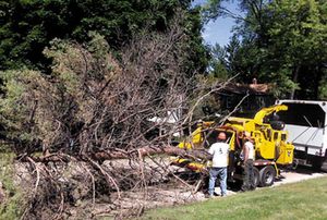 Broyeur à bois BC2100XL À VENDRE - Product Image 4