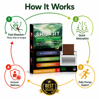 Bandes orales de Shilajit, d'origine himalayenne, énergie naturelle, stimulation immunitaire, dissolution rapide, 10 bandes, OEM, étiquette privée