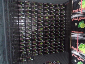 Haute Qualité En Gros Origine Naturelle Bon Prix Du Viet Nam Prêt À Expédier Frais Citron Lime Nouvelle récolte - Product Image 5