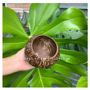 Tasse de noix de coco végétalienne artisanale et naturelle pour boisson/tasse de noix de coco avec gravure Laser Logo exporté par Eco2go 100% - Product Image 6