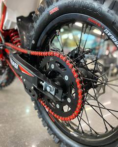 Ventas Rápidas de la Nueva Motocicleta Todoterreno PROGAS1 Super Max 300 PRO 2026 para Adultos, con 3 Años de Garantía, Lista para Exportación - Product Image 3