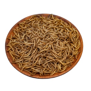 Vermi Gialli Essiccati ad Alto Contenuto Proteico per Alimentazione <span class=keywords><strong>Animale</strong></span> - Product Image 1