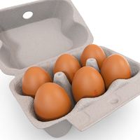 Service d'impression 3D en résine industrielle, personnalisation OEM/ODM, plateau à œufs en forme de boîte alimentaire, traitement de surface couleur personnalisée, minimum