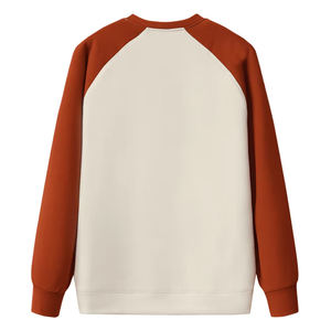 Best Selling Men's Stylish 300 Grams Long Sleeve Outerwear 100% Cotton Hoodies & Sweatshirts for Winter - Product Image 3