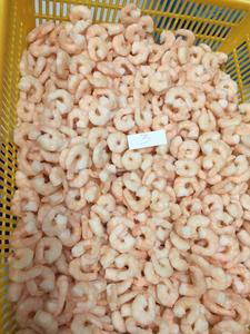 Cooked Frozen <b>Shrimps</b> High-quality Cooked Frozen <b>Shrimps</b> in Vietnam Hot <b>Sale</b> Cooked Frozen <b>Shrimps</b> - Product Image 4