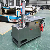Industriële Hawthorn Tiger Nut Snijmachine Wortel Areca Betel Noten Snijmachine