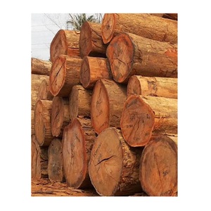 Top Quality Red Meranti <b>Wood</b>,Meranti <b>Wood</b> <b>Logs</b> Supplier, Meranti <b>Wood</b> Manufacturer - Product Image 2