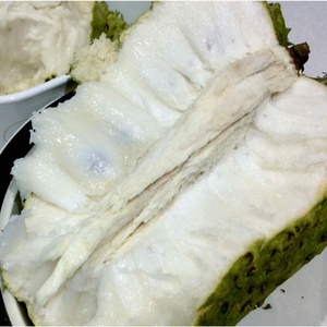 เยื่อบริสุทธิ์สำหรับเครื่องดื่มและขนมหวานจากเวียดนาม - Product Image 2