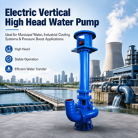 Pompe à boue submersible verticale IP68, robuste, haute pression, résistante à l'usure, pour le désassainissement des rivières, les centrales électriques et les réservoirs de cendres, OEM
