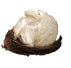 NIDO DE PÁJARO BIGSIZE DE ALTA CALIDAD DE VIETNAM-MEJOR PRECIO 2025 12 MESES DE VIDA ESTABLE ALMACENAMIENTO SECO // Sra. Beatrix - Product Image 3