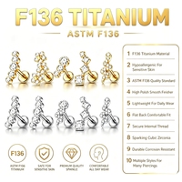 Anneau segmenté articulé en titane G23 ASTM F136, motif tortue, serpent, feuille, croix, pour piercing d'oreille, bijoux pour femmes, vente en gros OEM ODM