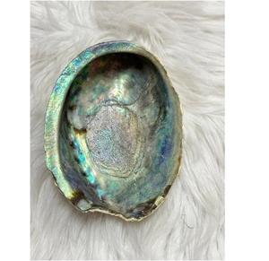 Coquilles d'abalone naturelles MOP pour bijoux, boutons et artisanat - Product Image 5