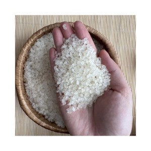 Texture douce de riz konjac blanc à grain court naturel 100% de qualité supérieure fraîchement récoltée pour l'approvisionnement en vrac à l'exportation - Product Image 4