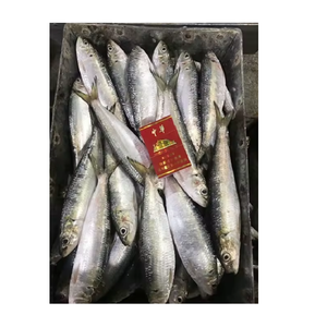 Pescado sardina congelado enlatado a la venta a granel a precio barato La mejor calidad para exportación al por mayor y distribución global - Product Image 4