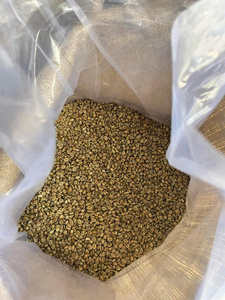 HANCOFFEE 2025 CROP Granos de Café Arábica Verdes - Venta al por Mayor Más Barata - Empaquetados en Bolsas de 60 kg/ Bolsa de Polipropileno/Bolsa de Yute - Muestra Gratis - Product Image 5