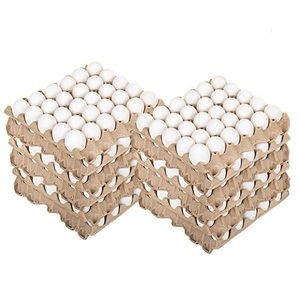 Vente chaude, œufs de poule de table frais de première qualité, fournisseur, coquille blanche/marron, jaune fertile, plateaux emballés, utilisation alimentaire à la ferme - Product Image 5
