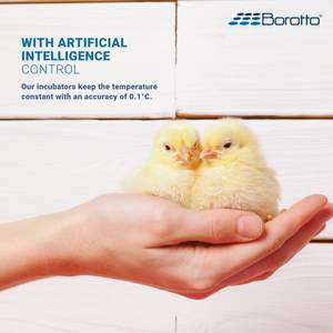 Lumia 16 Incubadora de huevos Azul Hecho en Italia Controlador de incubadora de torneado de huevos Manual Incubadora de huevos Temperatura modificable - Product Image 6