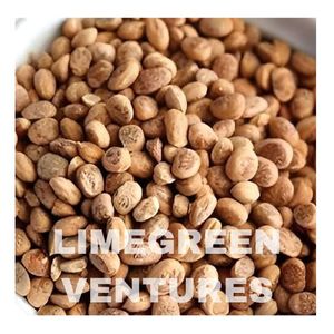 Proveedor mayorista de semillas Chironji | Semillas de nueces de charoli de calidad de exportación India (Cuddapah) | Marca de doble lengua | Estante de 12 meses - Product Image 1