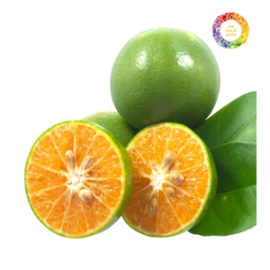 Jus de calamansi congelé en boîte de 5L, jus concentré de calamansi IQF pour emballage de service alimentaire, jus de kumquat congelé de qualité supérieure - Product Image 1