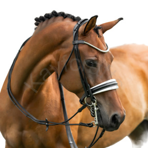 Magnifique Premium Diseño de doble brida enrollada con Cavesson Noseband acolchado blanco y banda de cejas plateada para caballos - Product Image 1