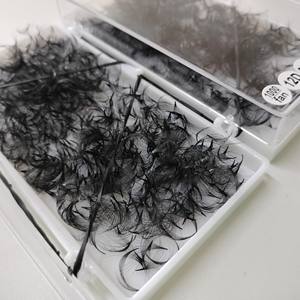 Nuevo y caliente estilo coreano Pbt fibra 1000 caja 0,03mm a 0,20mm 12D ventiladores Promade sueltos hechos en Vietnam - Product Image 3