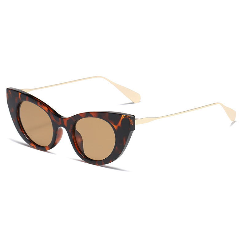 C3: Tort Gold/ Brown