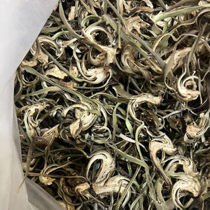 Fournisseur en gros de fleurs d'artichaut séchées du Vietnam pour le reconditionnement de marques de thé aux herbes en marque privée, ingrédients tropicaux authentiques - Product Image 5