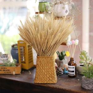 Maceta de mimbre tejida a mano al por mayor, cestas para macetas, decoración del hogar, cestas de mimbre, macetas para plantas de interior, Decoración de mesa - Product Image 2