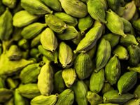 Poivre noir vert naturel cru, fort et piquant, qualité supérieure du Vietnam, 25 kg, prix usine, vente en gros, origine